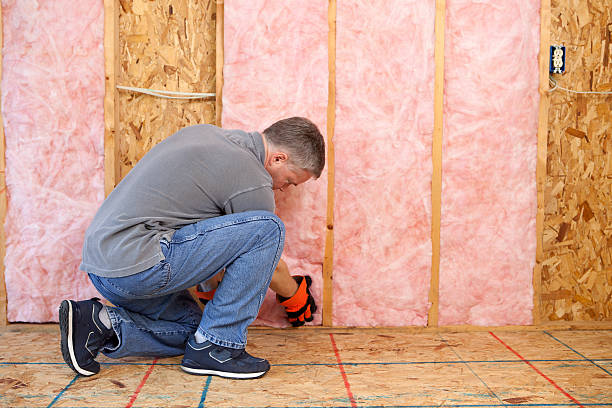 Best Insulation Maintenance and Repair in Shenandoah, VA