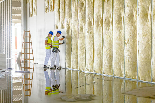 Best Insulation Installation Services in Shenandoah, VA